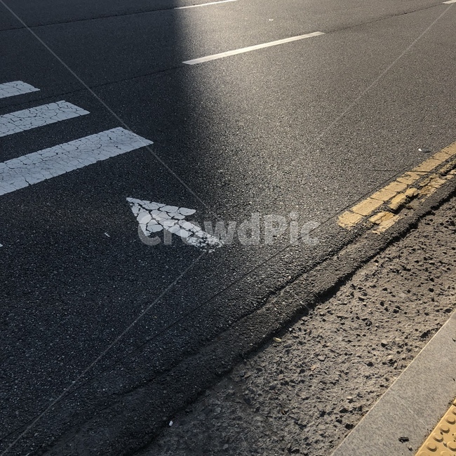 asphalt,아스팔트,횡단보도,긍정,햇빛,초록불
