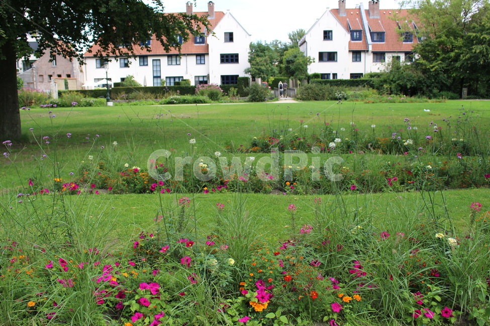 field,들,nature,grassland,자연,농촌