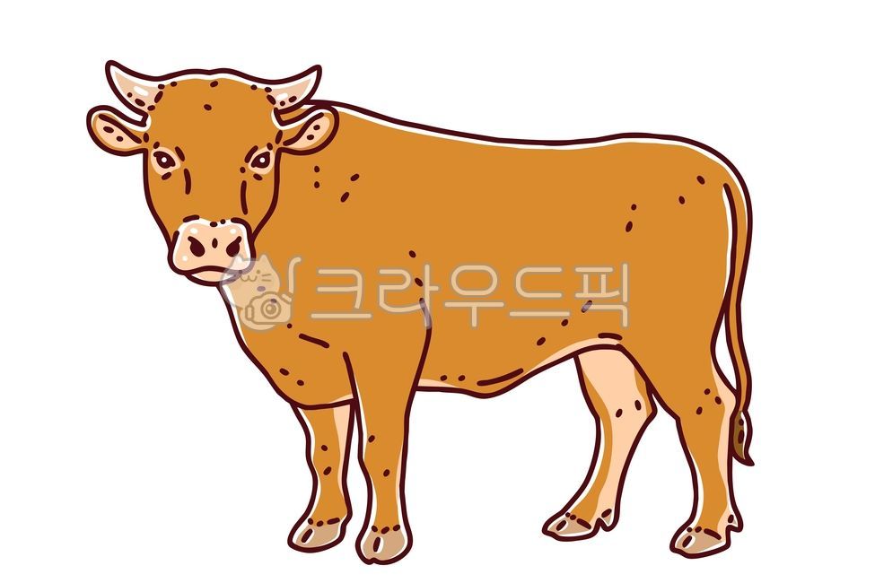 한우,황소,소,송아지,일러스트,소의품종,한국,품종,소고기,농업,동물,만화,캐릭터,디자인,음식,그래픽,대한민국,라인아트,가축,포유동물,고기,이미지,농장,서있는,상징,벡터,축사,디자인요소,토종,토착종,그래픽,일러스트레이션,graphic,illustration