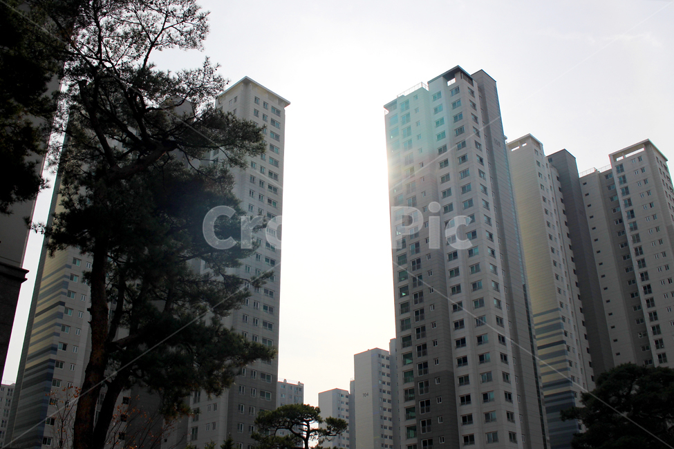 시티,고층건물,건물,도시,어반,아파트,apartmentbuilding,urban,building,highrise,city,town,나무,햇빛,자연