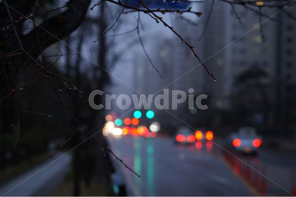 야경,불빛,비,봄,나무,야경,밤,풍경,nightscape,night,landscape,식물,자연,plants,nature,나무,trees,wood,감성,sensible,feeling,교통,교통수단,traffic,transportation,banister,난간,handrail,light,빛,flare,플레어