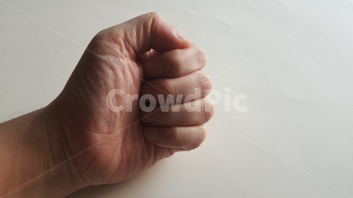손,손모양,손가락,손바닥,주먹,인체,신체,사람,힘줄,손톱,손가락마디,지문,사람,인물,인간,human,person,신체일부,몸,body