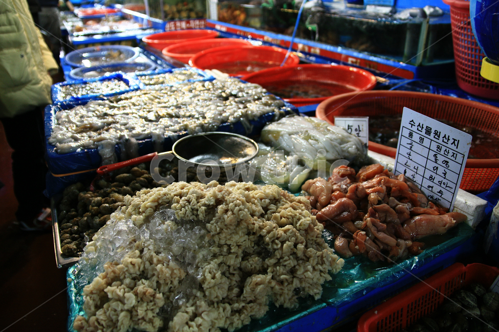 해산물,수산물,수산시장,판매,진열,시장,마트,마켓,market,mart,market place,음식,식재료,요리,food,cook,meal,dishes,food reserves,수산물,해산물,fishery products,seafood