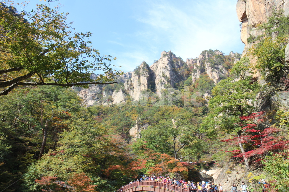 설악산,단풍놀이,가을,자연,강원도,koreanlandscape
