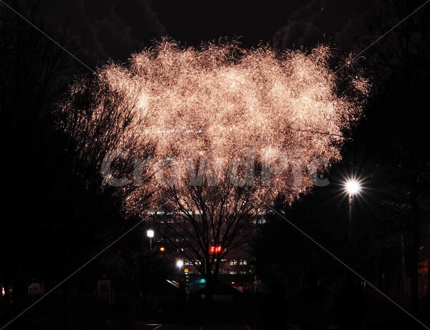 불꽃놀이,대전,불꽃,화려함,반짝반짝,도시,풍경,city,landscape,야경,밤,nightscape,night,축제,행사,festival,carnival,event,nature,자연,outdoors,옥외