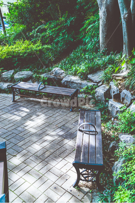 부산,용두산공원,남포동,공원,나무,의자,벤치,자연,휴식,여름,관광지,busan,park,tree,wood,bench,chair,nature,rest,summer,휴식,힐링,rest,relaxation,healing
