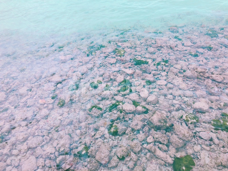 바다,맑은물,돌,해변,water,beach