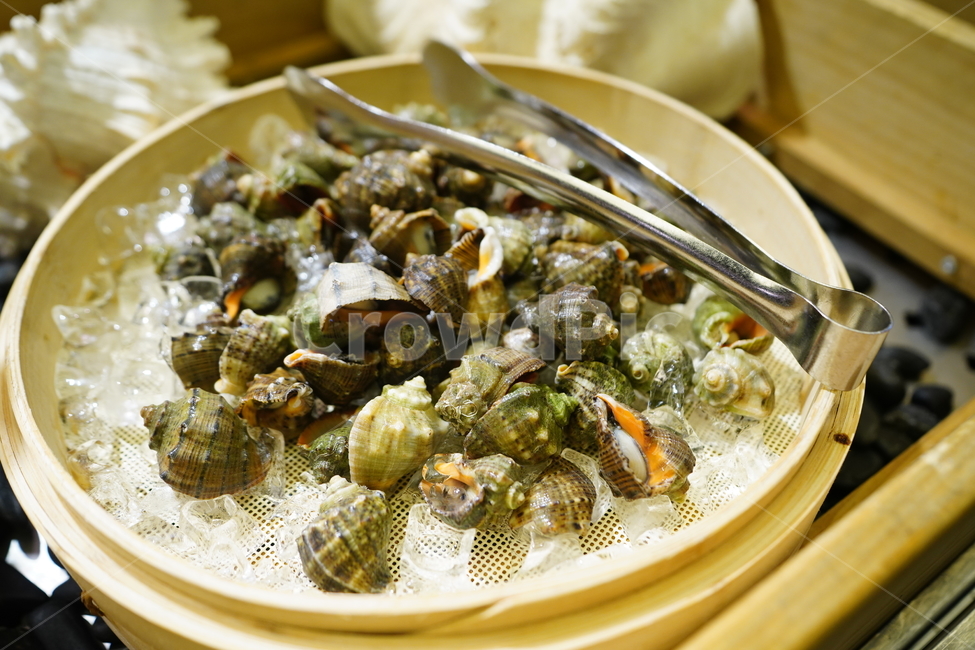 음식,먹거리,푸드,food,소라,해산물,해물,안주,껍데기,음식,식재료,요리,food,cook,meal,dishes,food reserves,수산물,해산물,fishery products,seafood