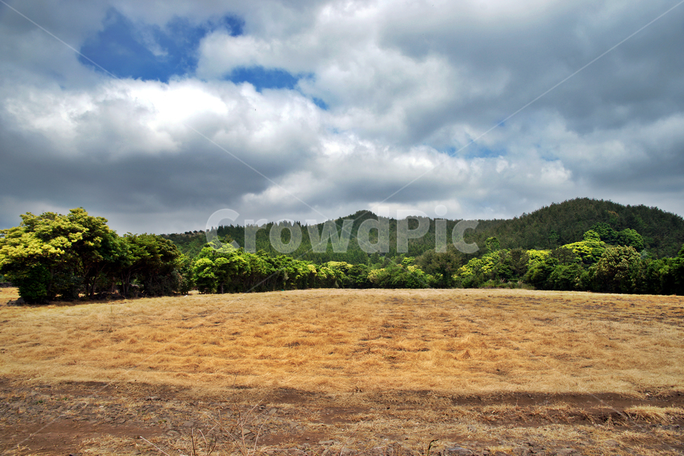 갑마장길,제주도,표선면,가시리,농작물,오름,자연,풍경,nature,landscape