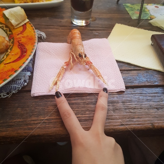 바다새우,가시발새우,해산물,요리,새우요리,scampi,해산물요리,사람,인물,인간,human,person,신체일부,몸,body,음식,식재료,요리,food,cook,meal,dishes,food reserves,수산물,해산물,fishery products,seafood