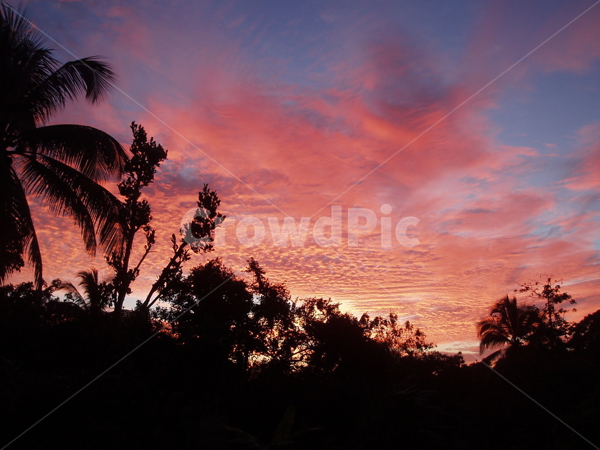 인도네시아,보르네오,칼리만탄,석양,일몰,붉은하늘,실루엣,indonesia,kalimantan,borneo,sunset,dusk,twilight,silhouette,정글,정글석양,밀림,자연,nature
