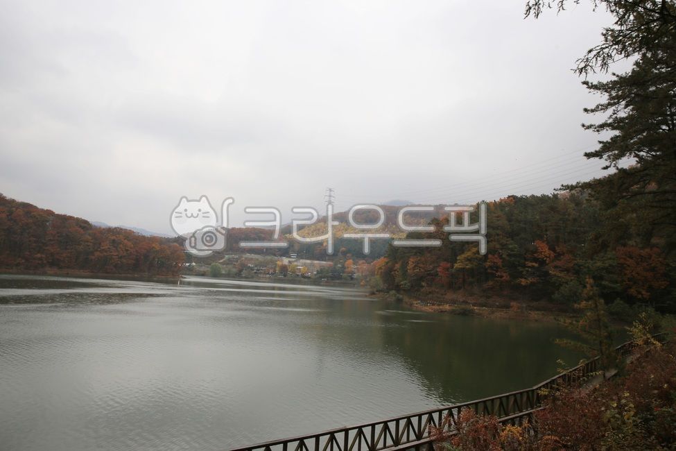 마장호수,출렁다리,호수,저수지,난간,다리,자연,물,나무,가을,bridge,nature,단풍