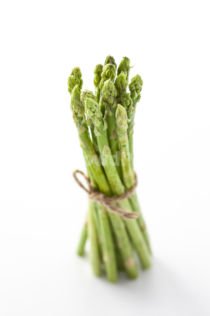 아스파라거스,asparagus,아스파라거스누끼,누끼,채소,plant,식물,vegetable,야채,food,식품,채소,야채,vegetables,연출,컨셉,콘셉,direction,concept