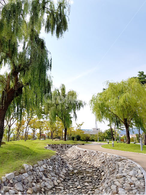 자연,푸른하늘,sky,outdoors,하늘,옥외,가을하늘,tree,나무,plant,식물,자갈,냇가,자연,풍경,nature,landscape