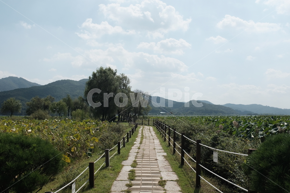 초가을,하늘,산책길,공원,풍경,landscape,autumn,fall,구름,자연,풍경,nature,landscape,outdoors,옥외