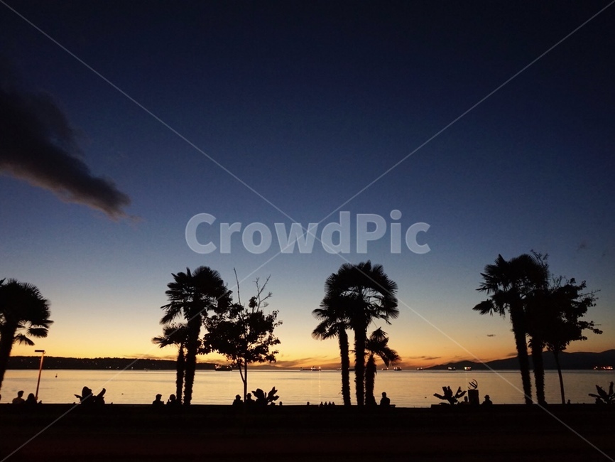 캐나다,선셋비치,노을,나무,하늘,바다,해질녘,야경,자연,tree,nature,sunset,자연,풍경,nature,landscape,outdoors,옥외,plant,식물