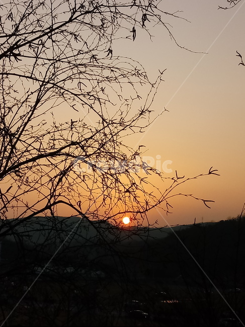 석양,일몰,태양,옥외,붉은하늘,하늘,sunset,outdoors,sunlight,황혼,경치,sky,redsky,nature,자연,풍경,nature,landscape