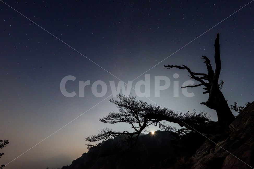 은하수,별사진,대둔산,고목,풍경,자연,풍경,nature,landscape,야경,밤,nightscape,night,실루엣,그림자,silhouette,shadow,outdoors,옥외,astronomy,천문학,universe,우주,starry sky,별이 빛나는 하늘,outer space,대기권 밖,space