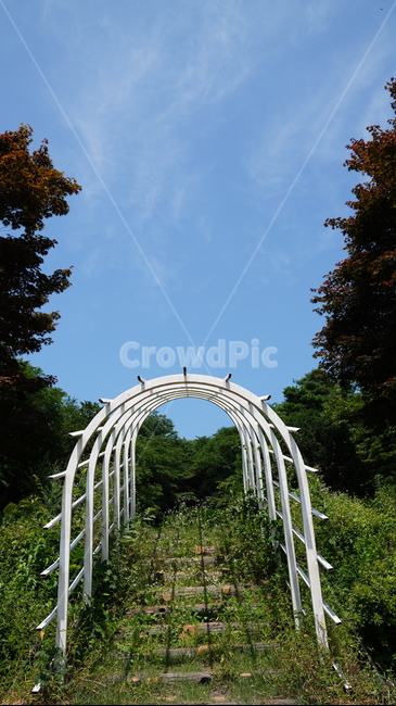 정원,아치,숲길,계단,하늘,자연,풍경,nature,landscape
