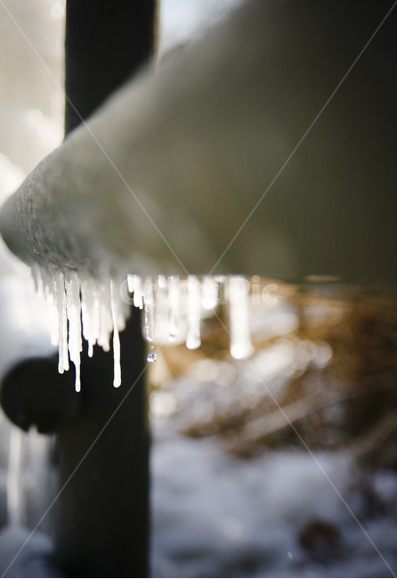 얼음,고드름,눈,겨울,추위,ice,snow,빙