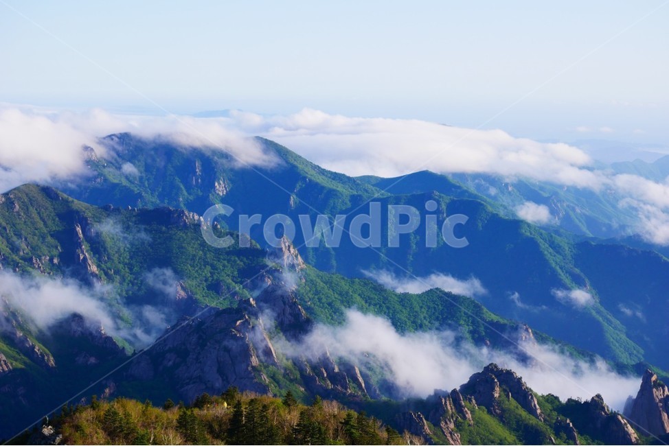 설악산,운해,공룡능선,백두대간,구름바다,자연,풍경,nature,landscape,한국자연풍경,한국자연경관,korea nature landscape,outdoors,옥외,mountain range,산맥,mountain,산
