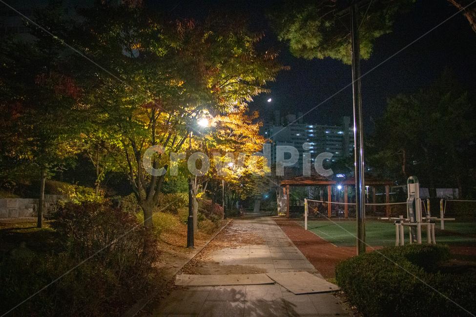 공원,야경,가을,산책,단풍,나무,밤,길,야경,밤,풍경,nightscape,night,landscape,도시,city,한국도시풍경,한국도시경관,korea cityscape,path,통로,flagstone,판석,walkway,보도