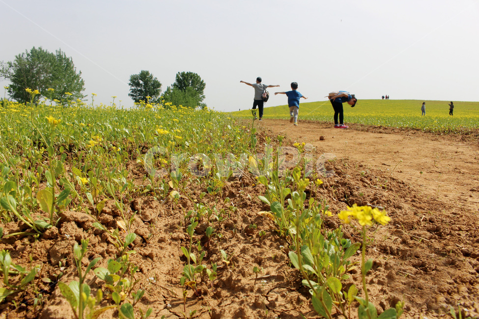 소풍,들판,자연,힐링,자유,자연,풍경,nature,landscape,사람들,대중,군중,other people,crowd,soil,흙,outdoors,옥외,ground,바닥,field,들