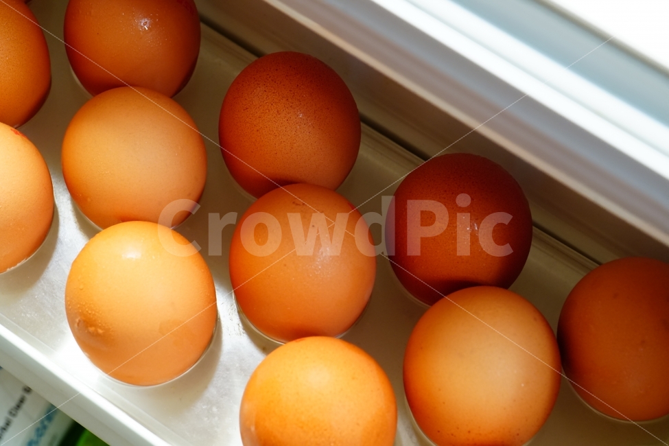 egg,objects,concept,recipe,animal nature,verdure,freshness,side dish,preservation,bite,ingredients,cooking,kitchen,kitchen utensils,Frozen storage,cook,frozen,food ingredients,food,gyeol,dessert,keep,grocery,animated,fresh,refrigerator,thing,object