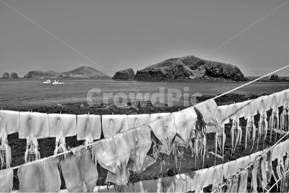 차귀도,제주도,엉알해안,올레길,한경면,바다,한치,오징어,흑백,흑백,모노톤,monochrome,black and white