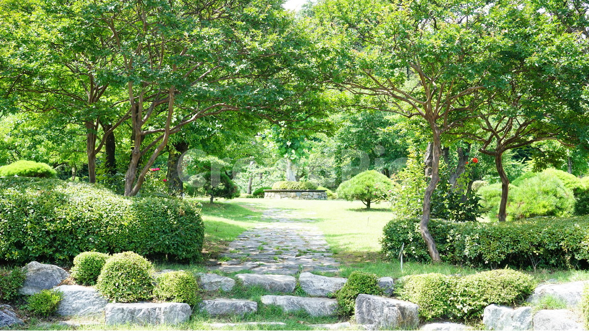 공원,풍경,장미,골목,숲,자연,풍경,nature,landscape,flagstone,판석,garden,정원,outdoors,옥외,arbour,정자