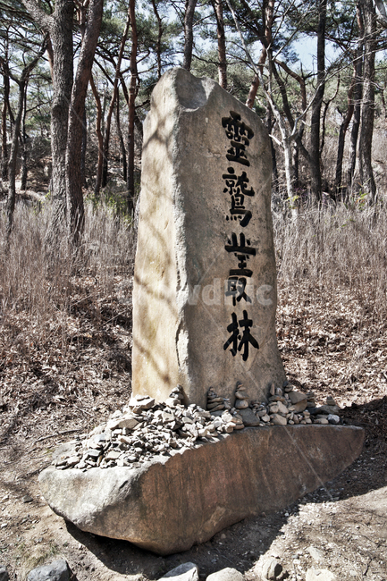 영축총림,표지석,통도사,암석,양산,석탑,조각상,동상,석상,조형물,statue,bronze statue,stone statue
