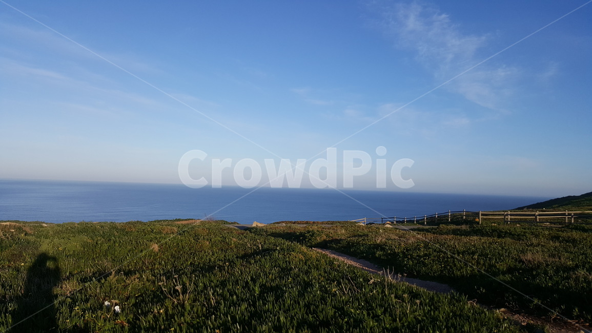 바다,들판,겨울,field,winter,겨울바다,ocean,화창한,맑은,하늘,풍경,구름,cloud,sky,tree,healing,힐링,landscape,그림자