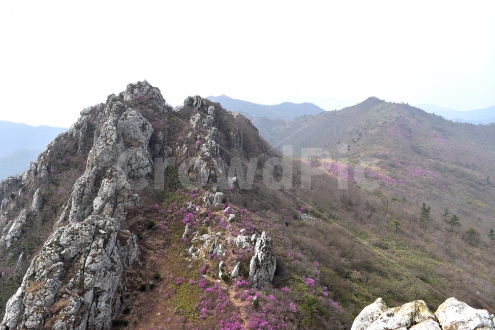 주작산,덕룡산,진달래,풍경,기암,바위,비경,봄풍경,분홍색,진달래꽃,강진,명산,산행,등산,마운틴,자연,풍경,nature,landscape,봄,계절,spring,season,outdoors,옥외