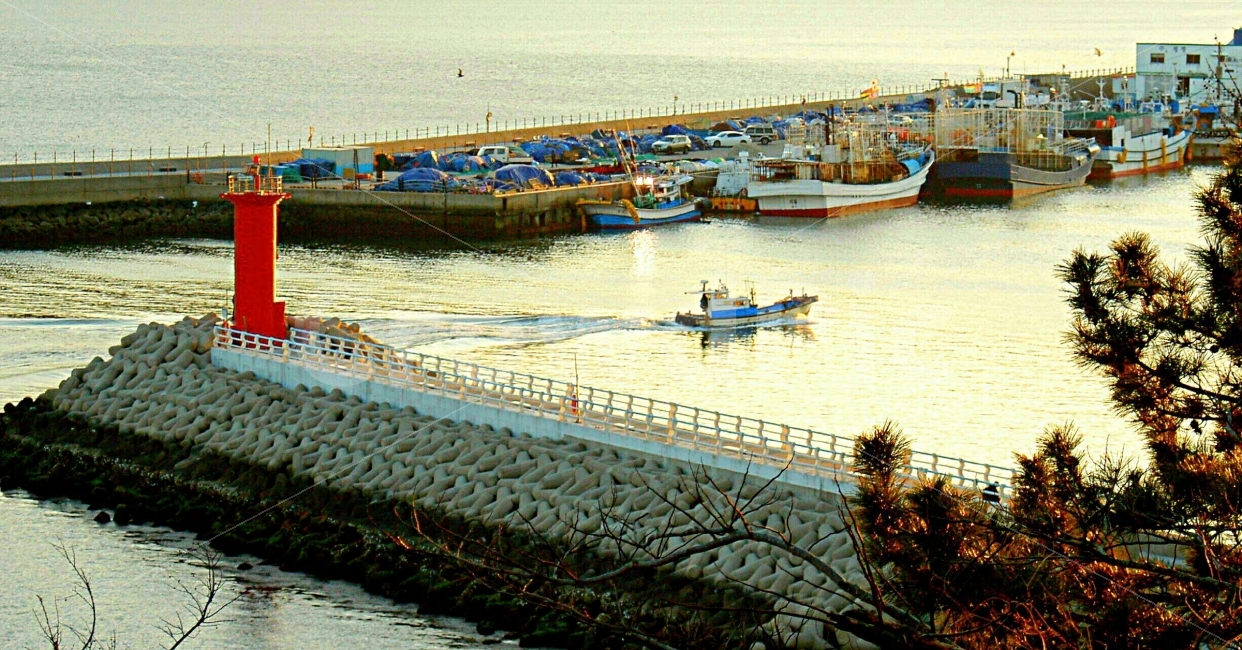 바다,배,등대,어선,노을,해질녘,따뜻한,sea,sunset,lighthouse,등대,lighthouse,vehicle,차량,transportation,교통,watercraft,선박