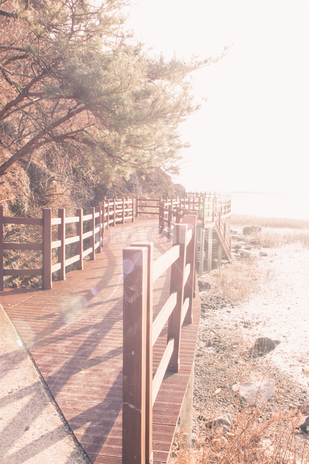 다리,바다,바닷가,해안,풍경,자연,해,태양,햇빛,갈대,갯벌,만,bridge,sea,coast,landscape,nature,sun,sunlight,reed,bay,자연,풍경,nature,landscape