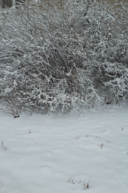 outdoors,옥외,winter,겨울,nature,자연,blizzard,눈보라,snow,눈,storm,겨울,계절,winter,season