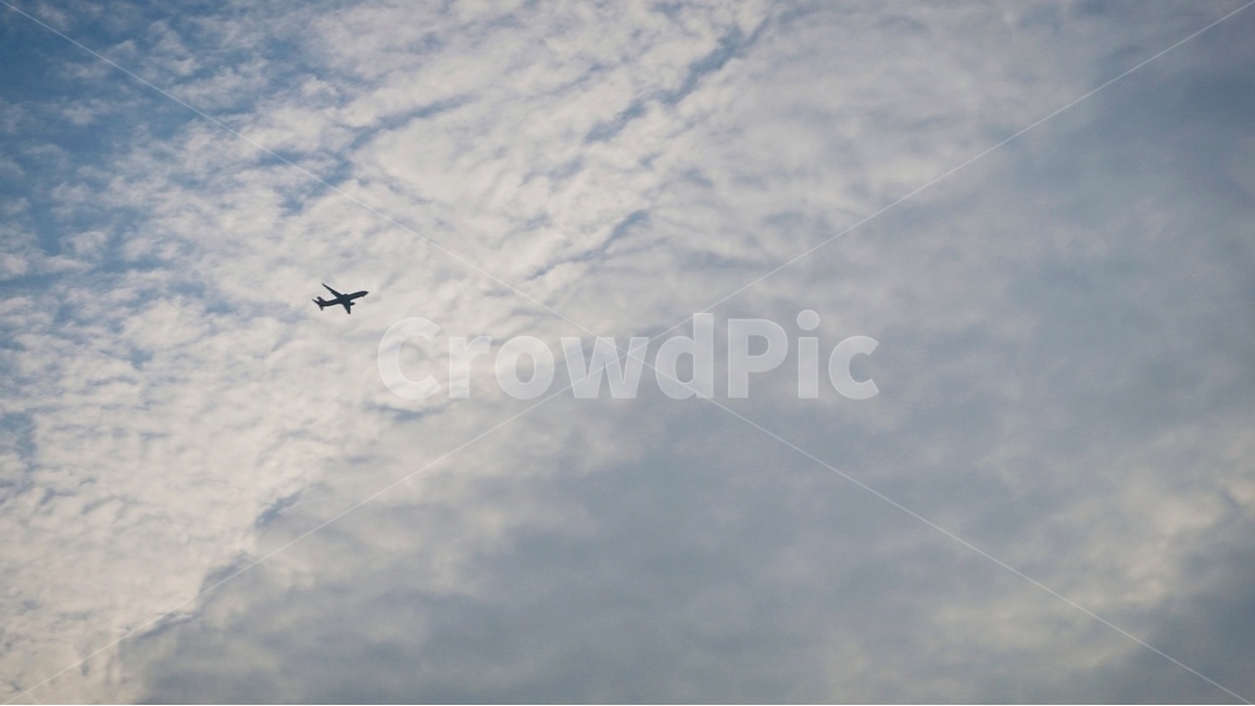 하늘,구름,비행기,풍경,감성,분위기,자연,풍경,nature,landscape,교통,교통수단,traffic,transportation,bird,새,animal,동물,flying,나는