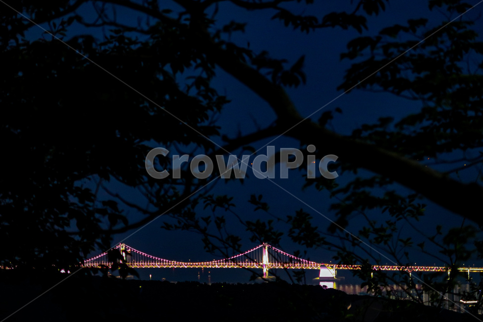 광안대교,야경,바다,다리,bridge,야경,밤,풍경,nightscape,night,landscape,랜드마크,landmark,tourist attraction,한국랜드마크,한국관광지,한국명소,korea landmark,korea tourist attraction