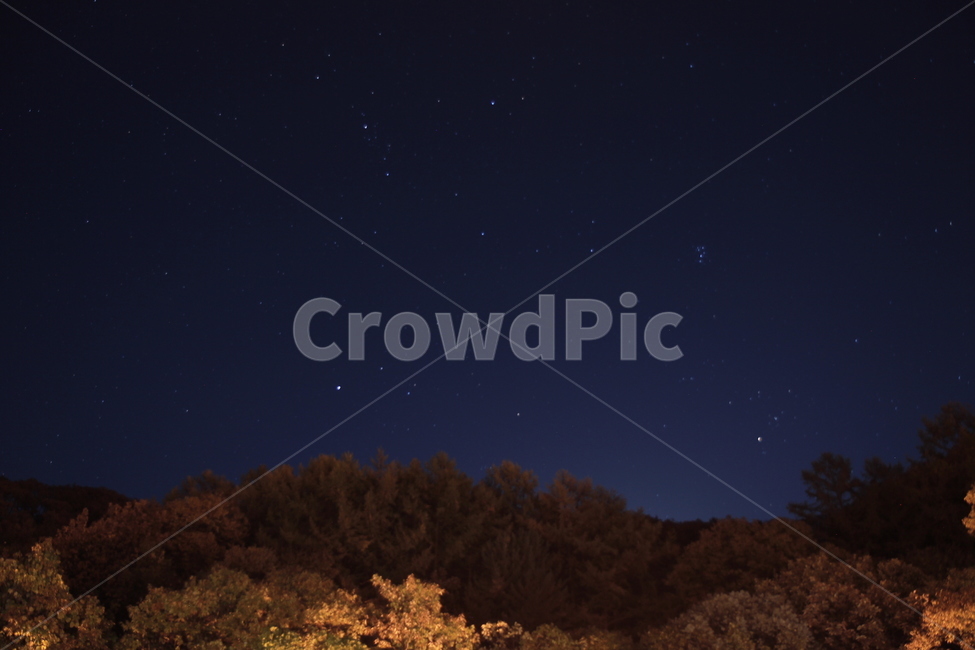nature,자연,outdoors,밤하늘,숲,하늘,야경,자연,풍경,nature,landscape