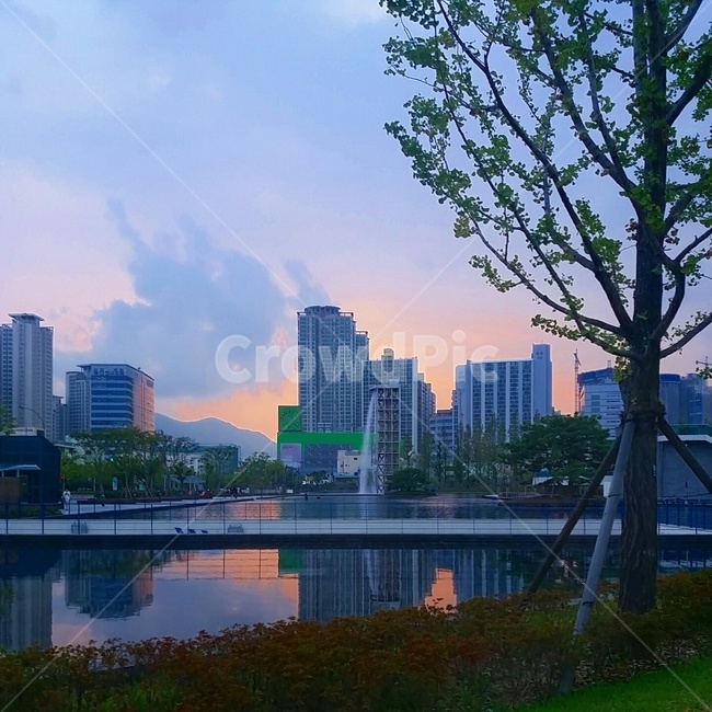 시민공원,노을,감성,city,도시,공원,피크닉,도시풍경,감성사진,나무,자연,nature,view,picnic,부산,busan,풍경사진,빈티지,사람,건물,도시,풍경,city,landscape