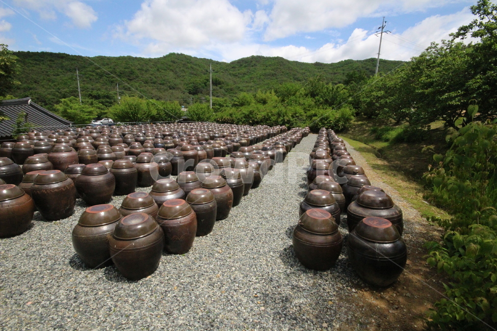 절,사찰,서운암,장독대,양산,한국전통,한국문화,korean traditional,korean culture,사물,물건,오브젝트,thing,object,matter