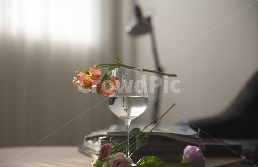 꽃,유리잔,와인잔,책,소품,꽃,flower,감성,sensible,feeling,인테리어,실내디자인,interior design,연출,컨셉,콘셉,direction,concept