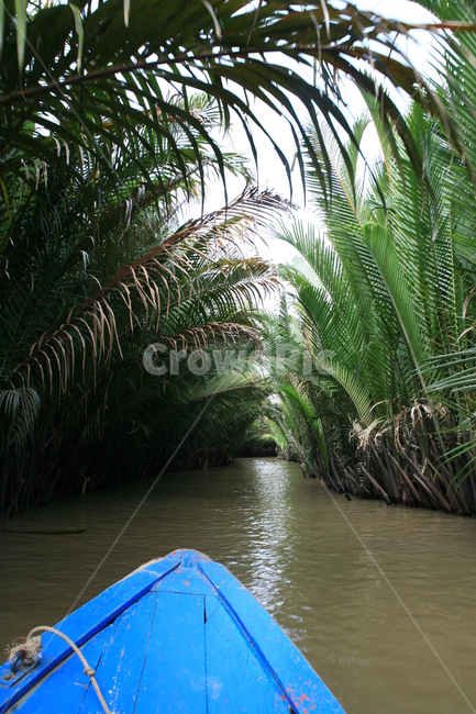 밀림,보트,목선,강,수풀,파란색,파란배,파란목선,열대우림,river,boat,blue,jungle,asia,보트투어,boartour