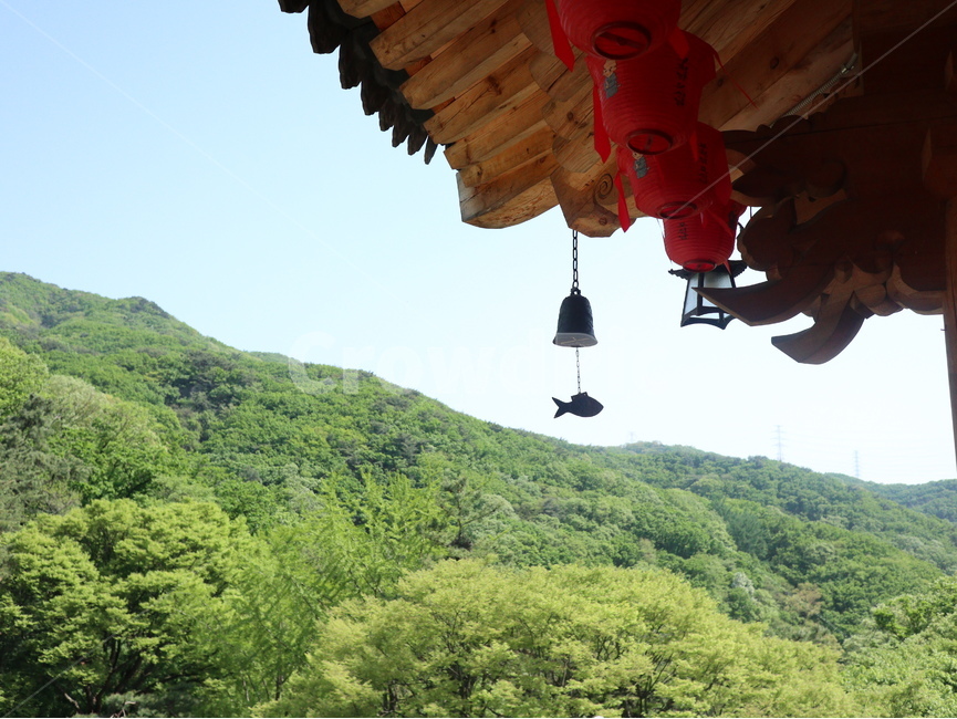 절,종,물고기,처마,풍경,나무,산,하늘