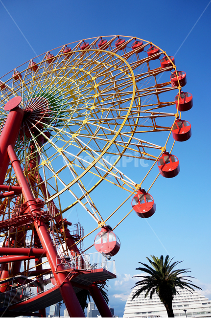 palm tree,ferris wheel,Ferris wheel date,Emotion,Emotional photo