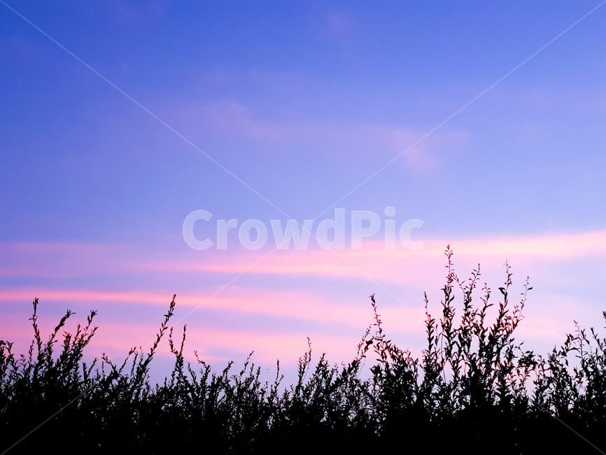 하늘,구름,파스텔,풀,풍경,자연,풍경,nature,landscape,grass,잔디,plant,식물