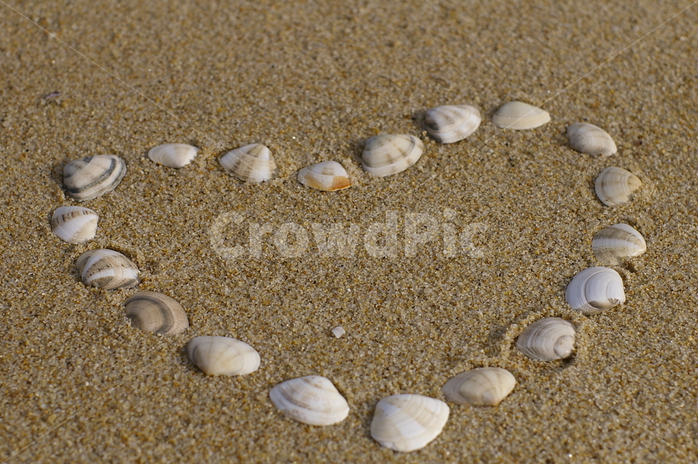 seashell,조개,하트,모래,heart