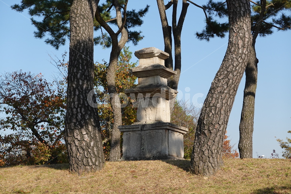 탑,소나무,가을하늘,하늘,돌탑,한국전통,한국문화,korean traditional,korean culture
