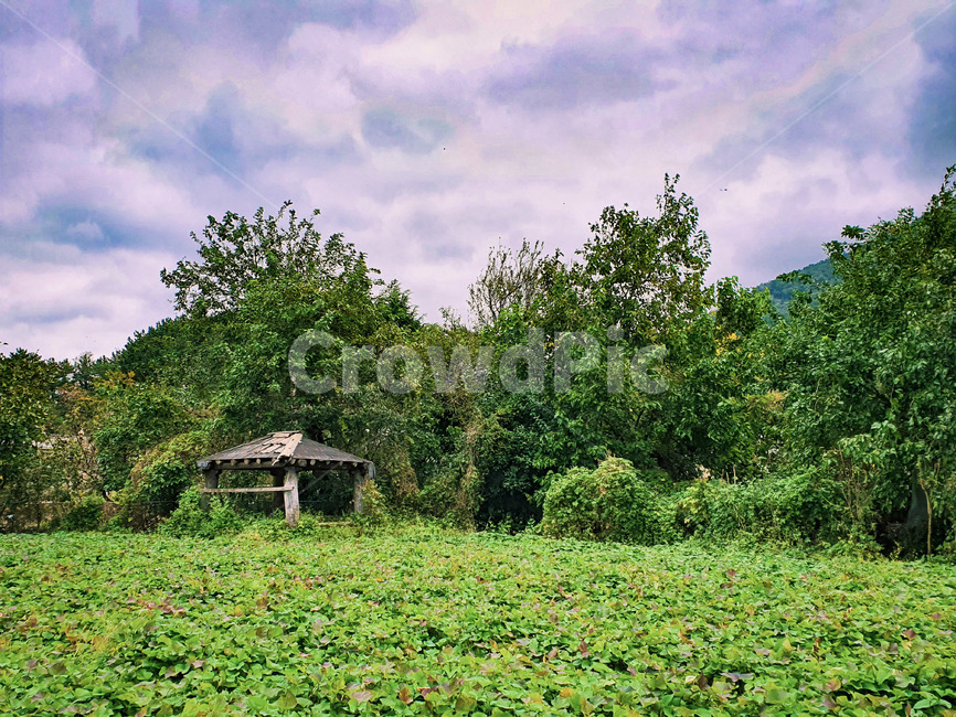 자연,nature,경치,풍경,느낌,자연,풍경,nature,landscape