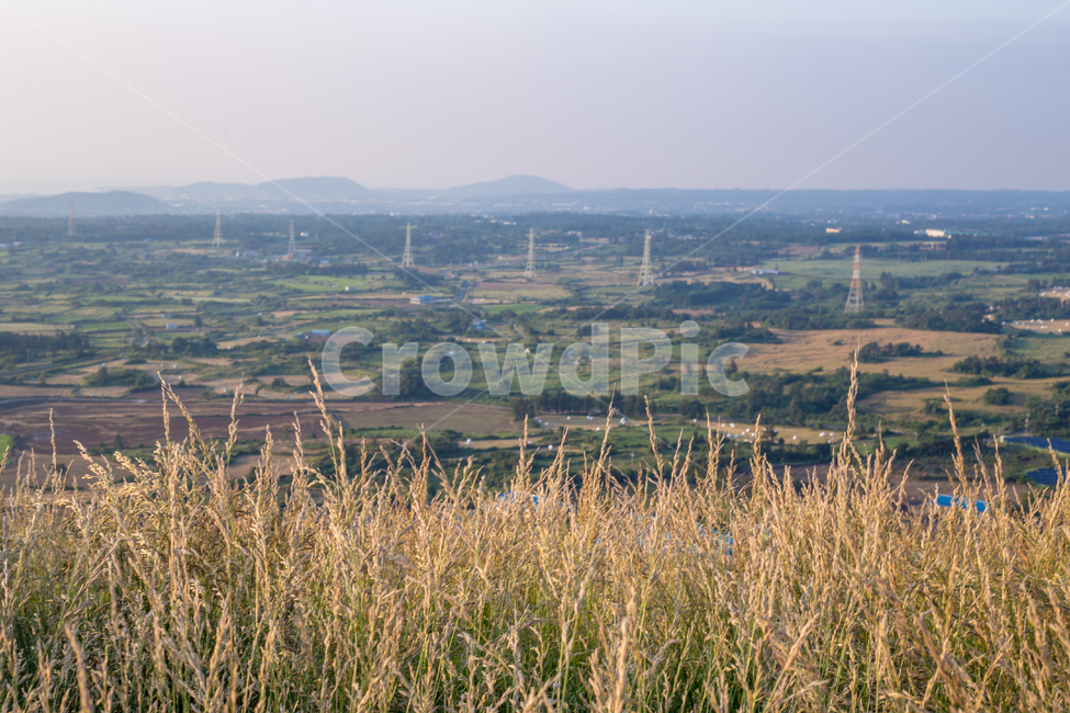 제주,오름,금오름,언덕,동산,산,풍경,억새,갈대,하늘,구름,jeju,hill,자연,nature,countryside,landscape,mountain,sky,cloud,경치,잔디,grass,plant,식물,자연,plants,nature